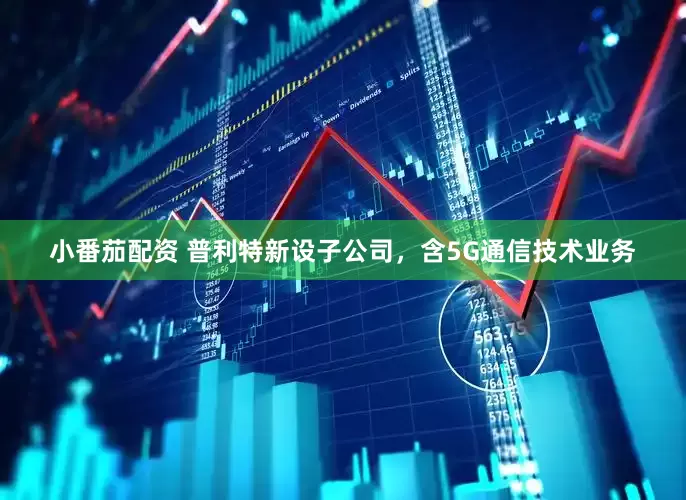 小番茄配资 普利特新设子公司，含5G通信技术业务
