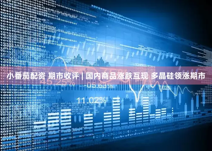 小番茄配资 期市收评 | 国内商品涨跌互现 多晶硅领涨期市