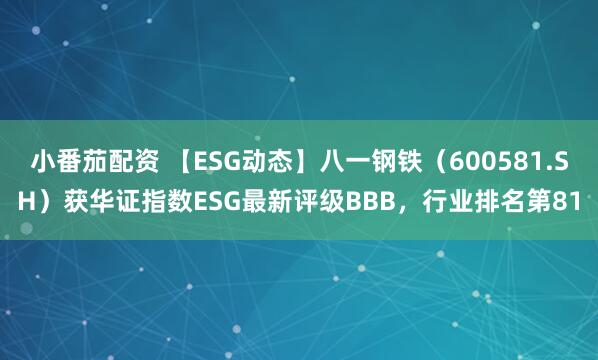 小番茄配资 【ESG动态】八一钢铁（600581.SH）获华证指数ESG最新评级BBB，行业排名第81