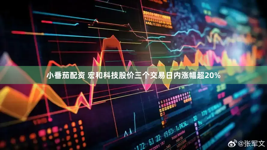 小番茄配资 宏和科技股价三个交易日内涨幅超20%