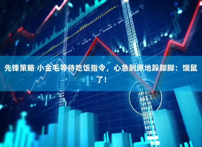 先锋策略 小金毛等待吃饭指令，心急到原地跺脚脚：饿鼠了！
