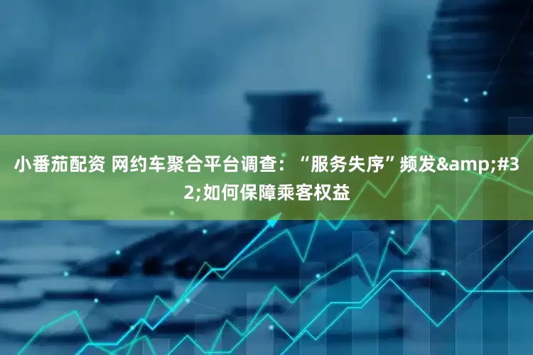 小番茄配资 网约车聚合平台调查：“服务失序”频发&#32;如何保障乘客权益