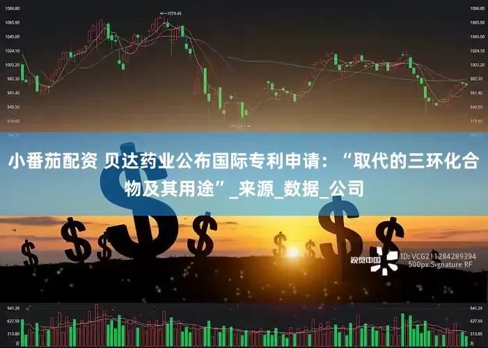 小番茄配资 贝达药业公布国际专利申请：“取代的三环化合物及其用途”_来源_数据_公司