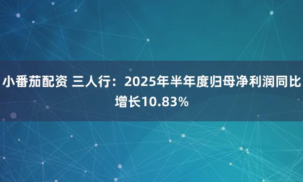 小番茄配资 三人行：2025年半年度归母净利润同比增长10.83%