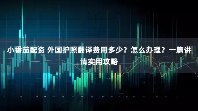 小番茄配资 外国护照翻译费用多少？怎么办理？一篇讲清实用攻略