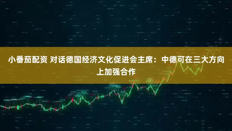 小番茄配资 对话德国经济文化促进会主席:中德可在三大方向上加强合作