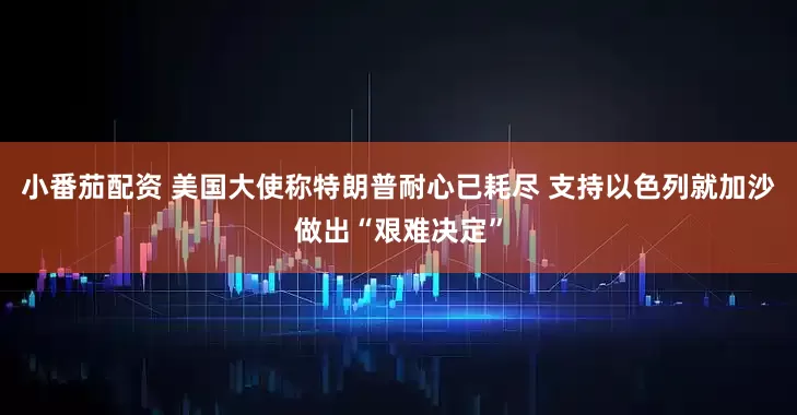 小番茄配资 美国大使称特朗普耐心已耗尽 支持以色列就加沙做出“艰难决定”