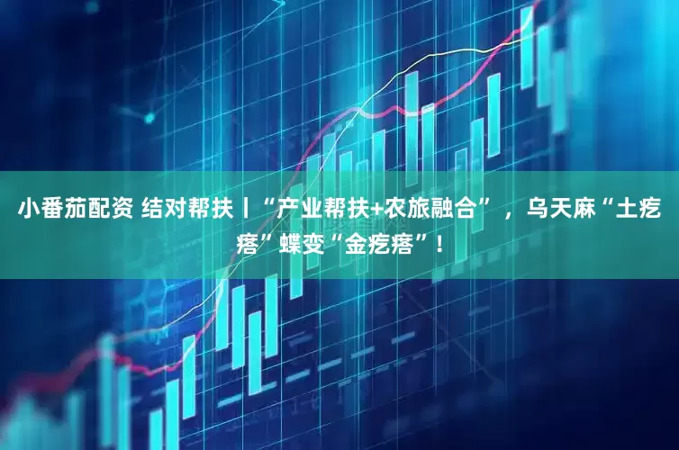 小番茄配资 结对帮扶丨“产业帮扶+农旅融合” ，乌天麻“土疙瘩”蝶变“金疙瘩”！
