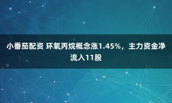 小番茄配资 环氧丙烷概念涨1.45%，主力资金净流入11股
