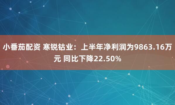 小番茄配资 寒锐钴业：上半年净利润为9863.16万元 同比下降22.50%